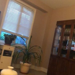 Meet your Posher, Lou